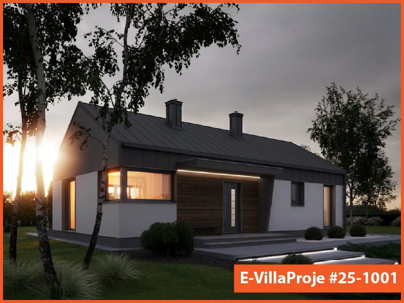 Ev Villa Proje #25 - 1001 Galeri Görseli 7