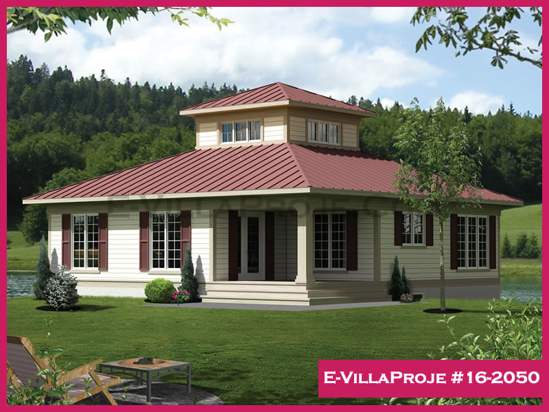 Ev Villa Proje #16 - 2050 Ana Görsel