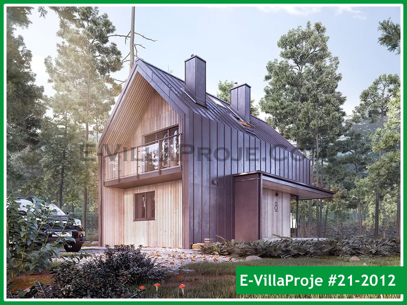 Ev Villa Proje #21 - 2012 Galeri Görseli 4