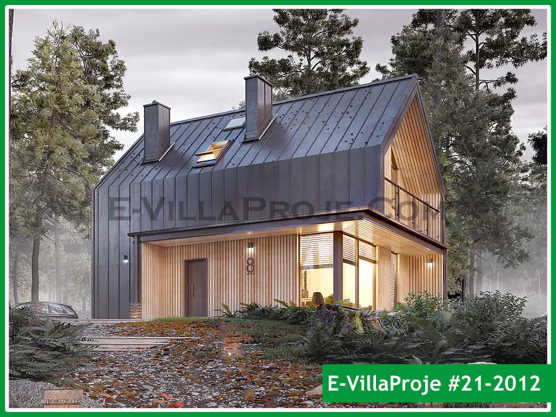 Ev Villa Proje #21 - 2012 Galeri Görseli 6