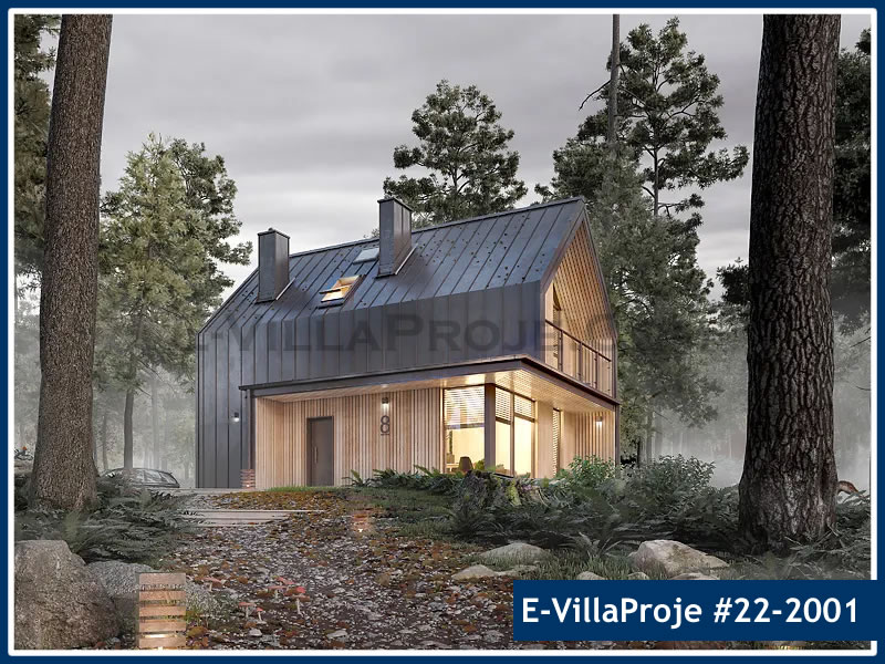 Ev Villa Proje #22 - 2001