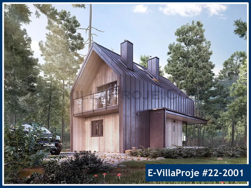 Ev Villa Proje #22 - 2001 Galeri Görseli 5