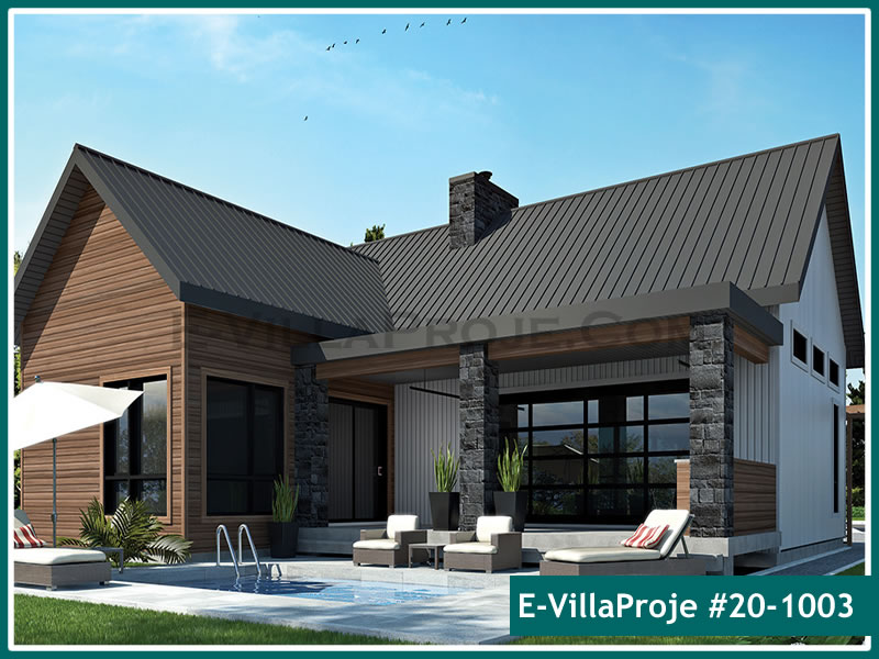 Ev Villa Proje #20 - 1003