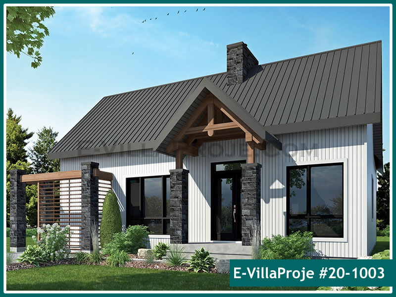 Ev Villa Proje #20 - 1003 Galeri Görseli 3