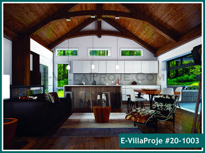 Ev Villa Proje #20 - 1003 Galeri Görseli 4