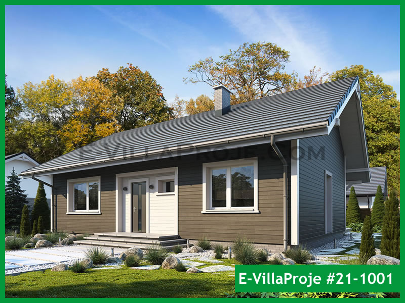 Ev Villa Proje #21 - 1001