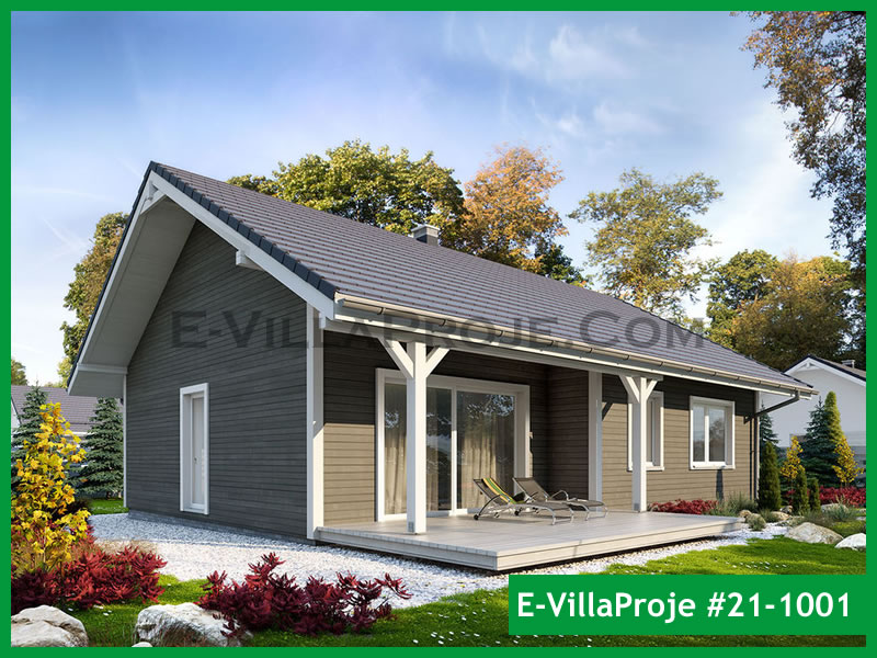Ev Villa Proje #21 - 1001 Galeri Görseli 3