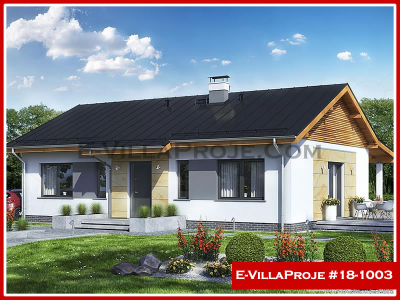 Ev Villa Proje #18 - 1003 Ana Görsel