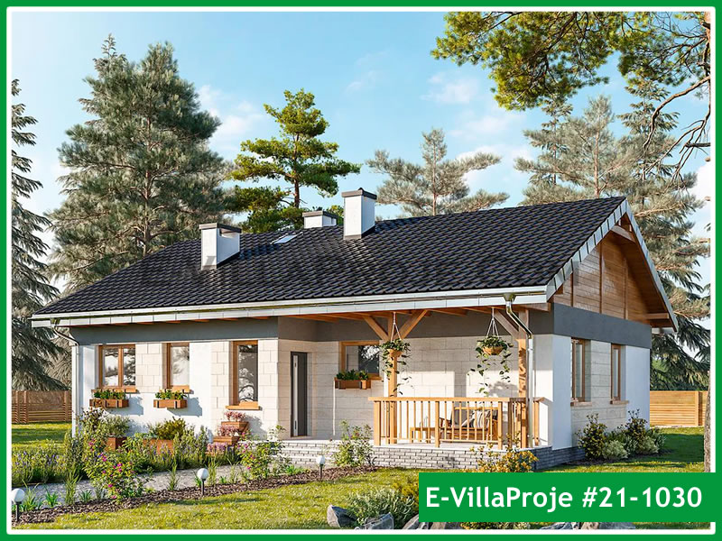 Ev Villa Proje #21 - 1030