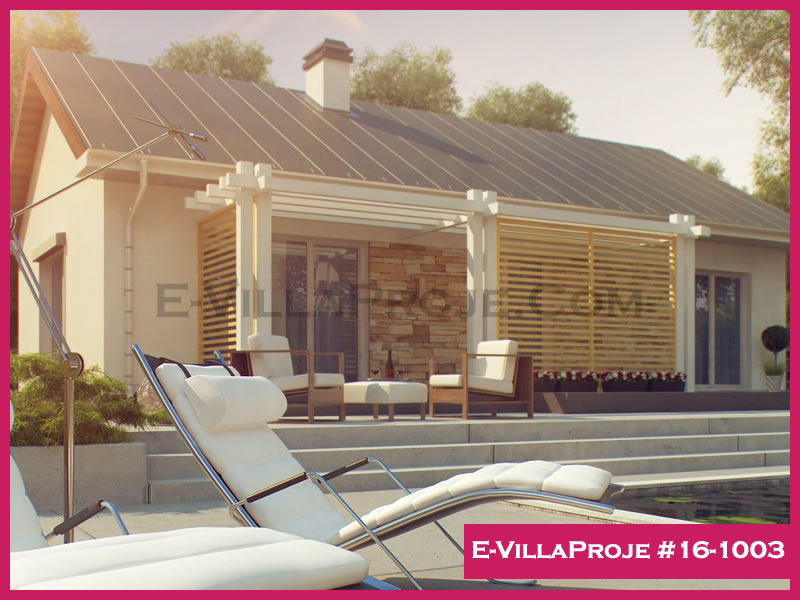 Ev Villa Proje #16 - 1003