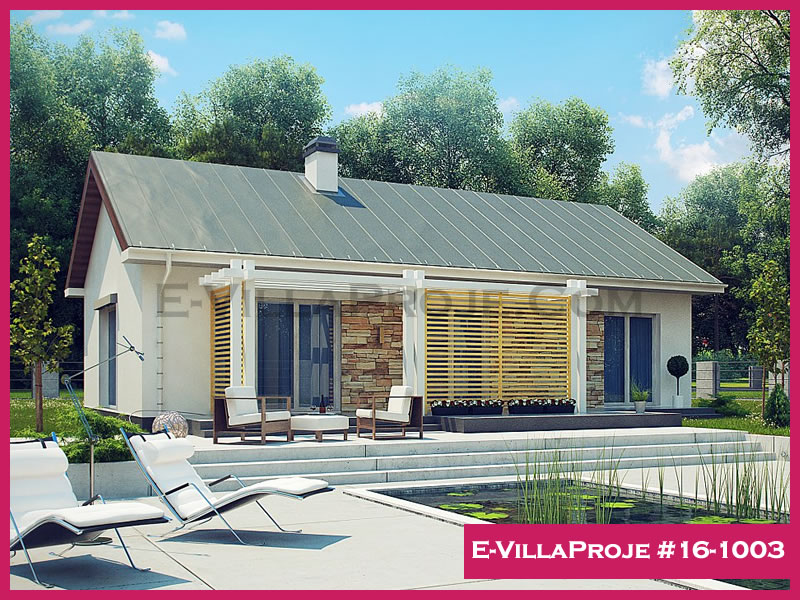 Ev Villa Proje #16 - 1003 Galeri Görseli 3