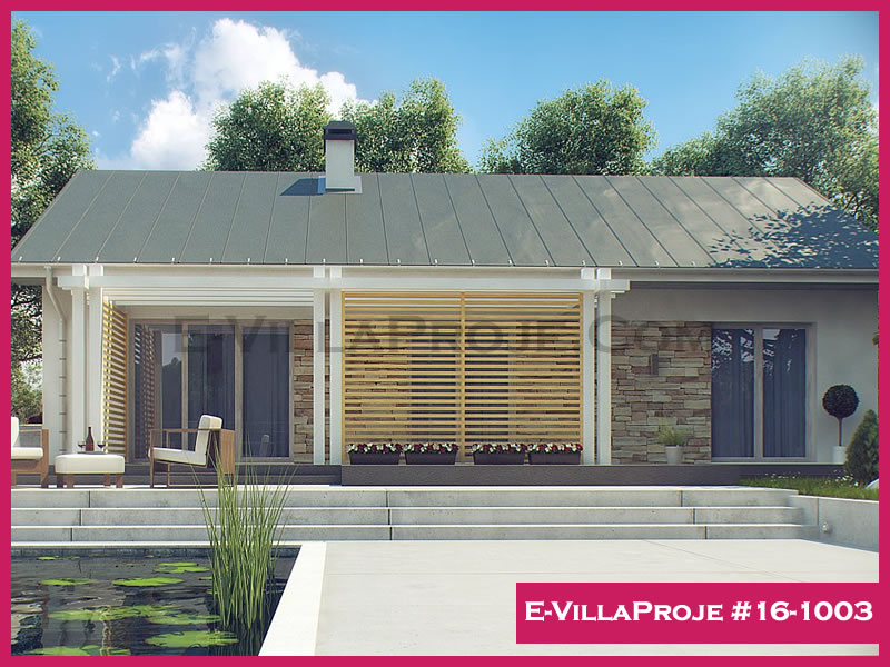 Ev Villa Proje #16 - 1003 Galeri Görseli 4