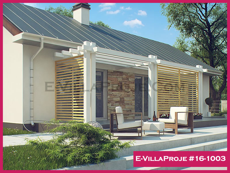 Ev Villa Proje #16 - 1003 Galeri Görseli 5
