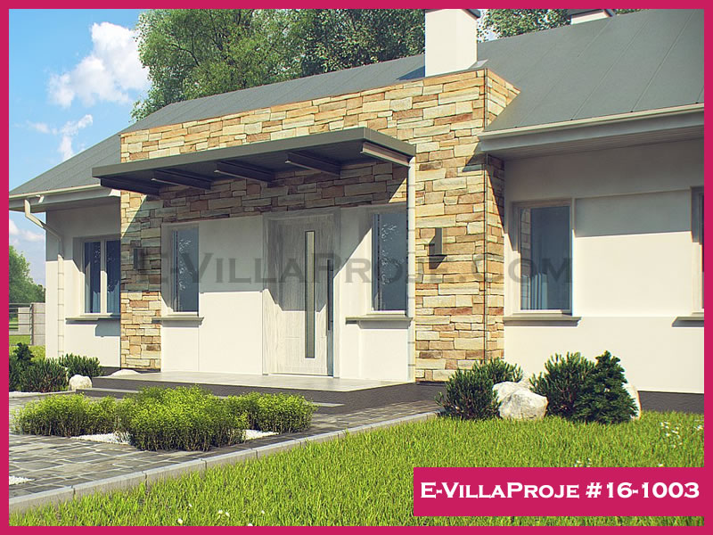 Ev Villa Proje #16 - 1003 Galeri Görseli 6