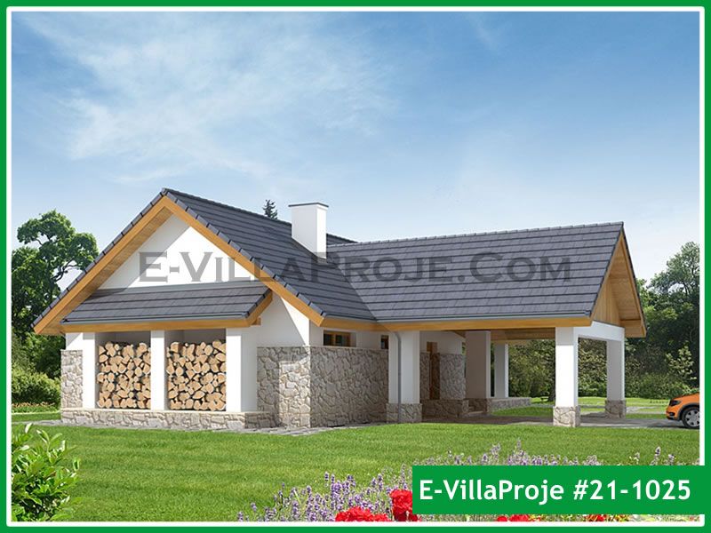 Ev Villa Proje #21 - 1025 Galeri Görseli 3
