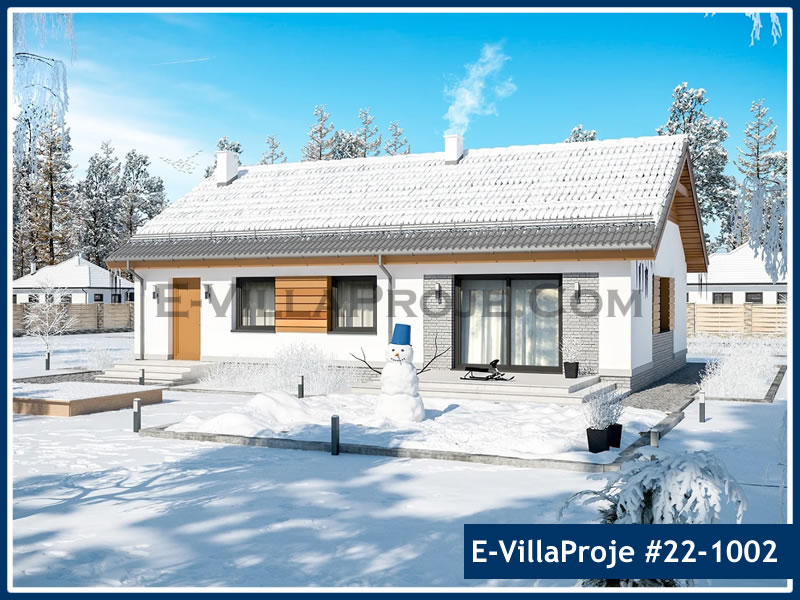 Ev Villa Proje #22 - 1002 Galeri Görseli 3