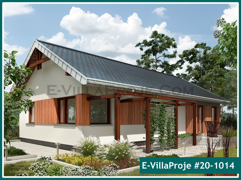 Ev Villa Proje #20 - 1014 Ana Görsel