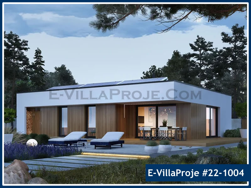 Ev Villa Proje #22 - 1004 Ana Görsel