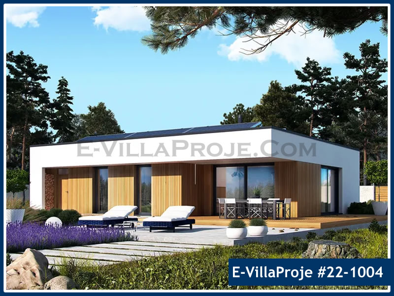 Ev Villa Proje #22 - 1004 Galeri Görseli 3