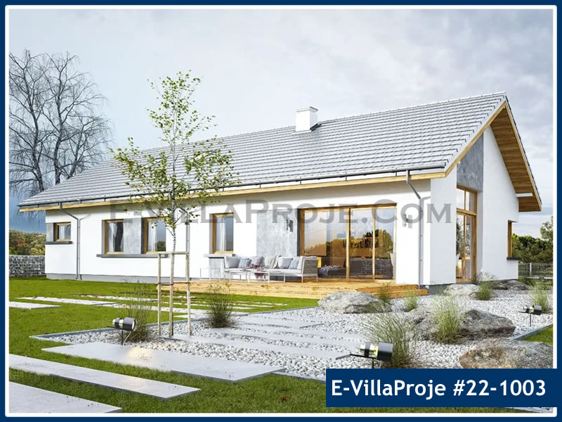 Ev Villa Proje #22 - 1003 Galeri Görseli 3