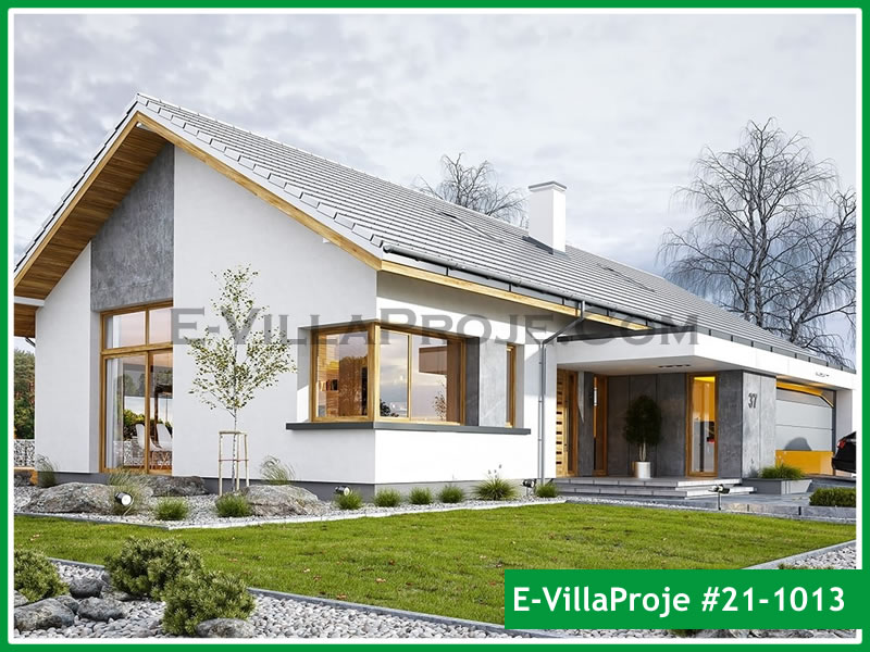Ev Villa Proje #21 - 1013 Ana Görsel