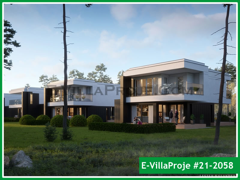 Ev Villa Proje #21 - 2058 Ana Görsel