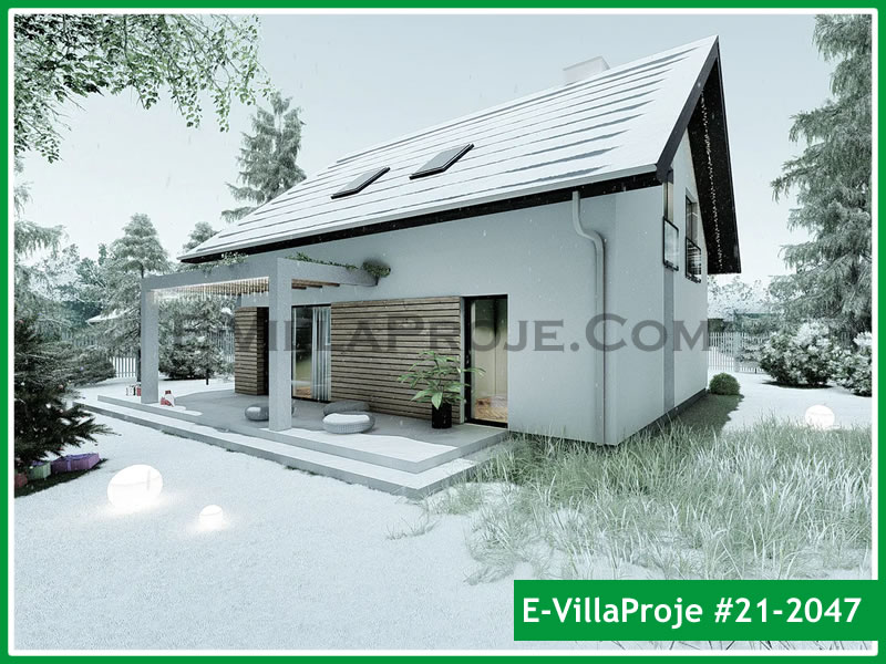 Ev Villa Proje #21 - 2047 Galeri Görseli 5