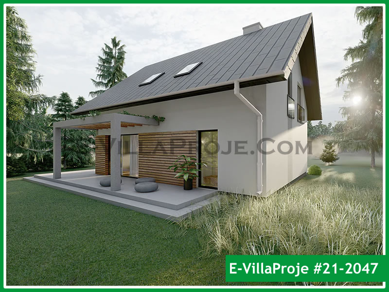 Ev Villa Proje #21 - 2047 Galeri Görseli 8