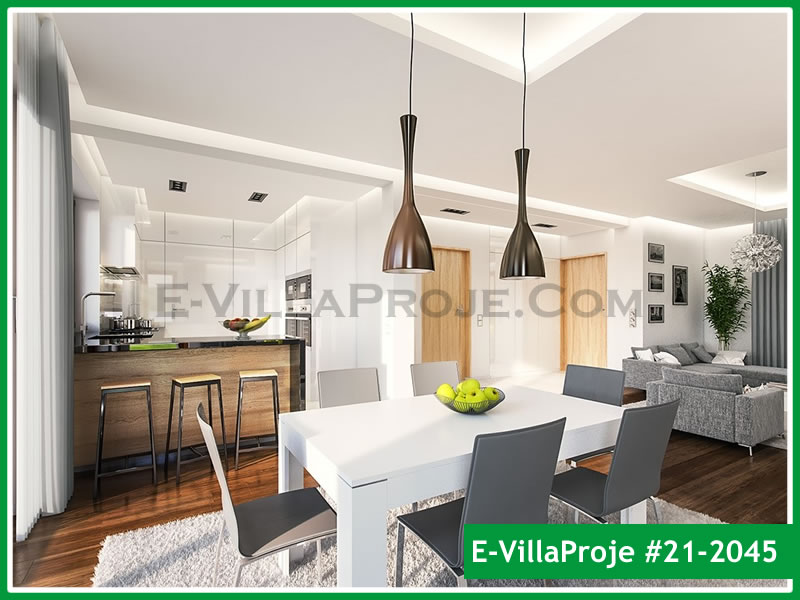 Ev Villa Proje #21 - 2045 Galeri Görseli 8