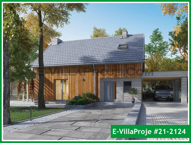 Ev Villa Proje #21 - 2124 Galeri Görseli 6