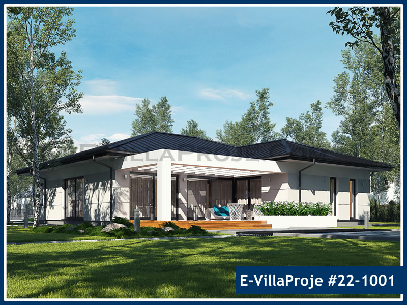 Ev Villa Proje #22 - 1001 Galeri Görseli 3