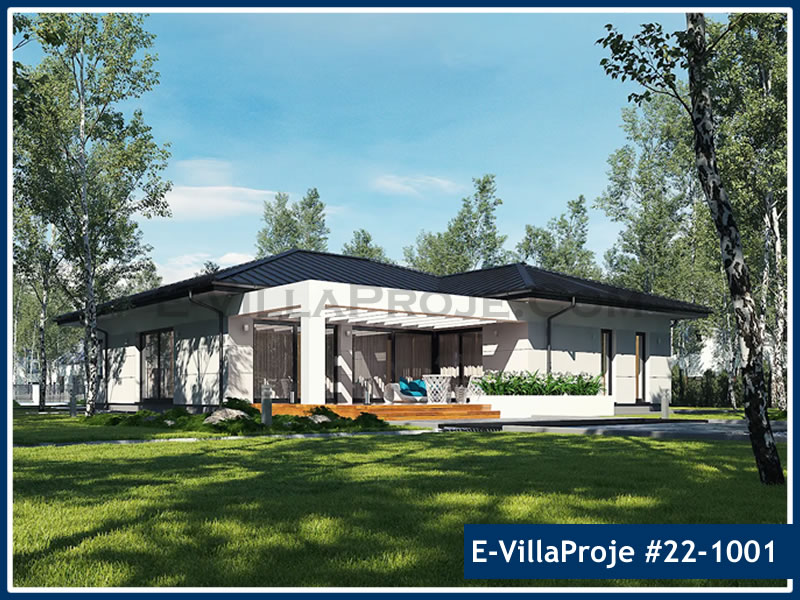 Ev Villa Proje #22 - 1001 Galeri Görseli 5