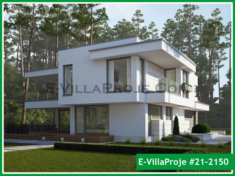 Ev Villa Proje #21 - 2150 Galeri Görseli 5