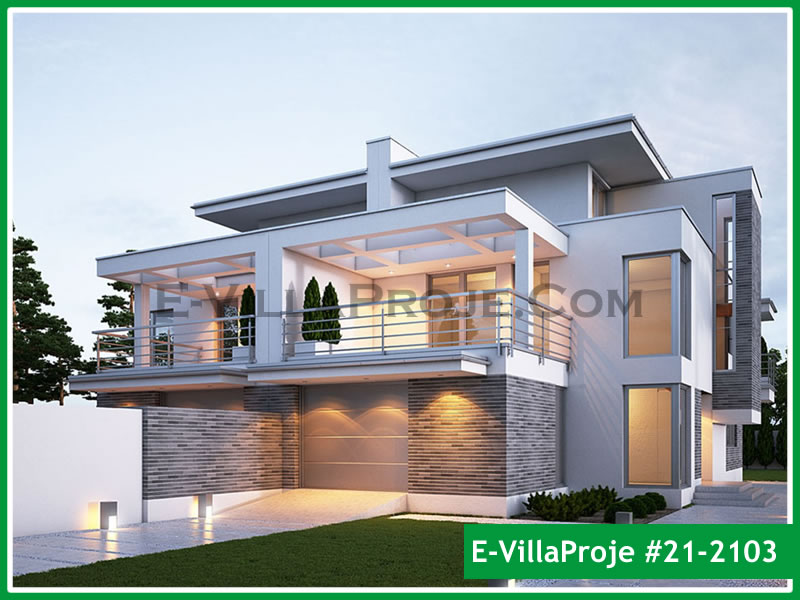 Ev Villa Proje #21 - 2103 Ana Görsel