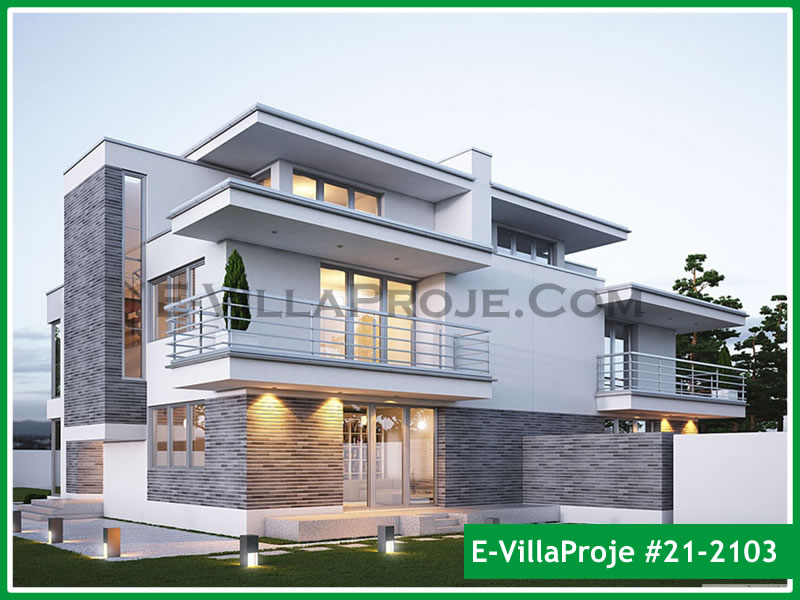 Ev Villa Proje #21 - 2103 Galeri Görseli 6