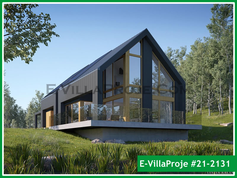Ev Villa Proje #21 - 2131 Ana Görsel