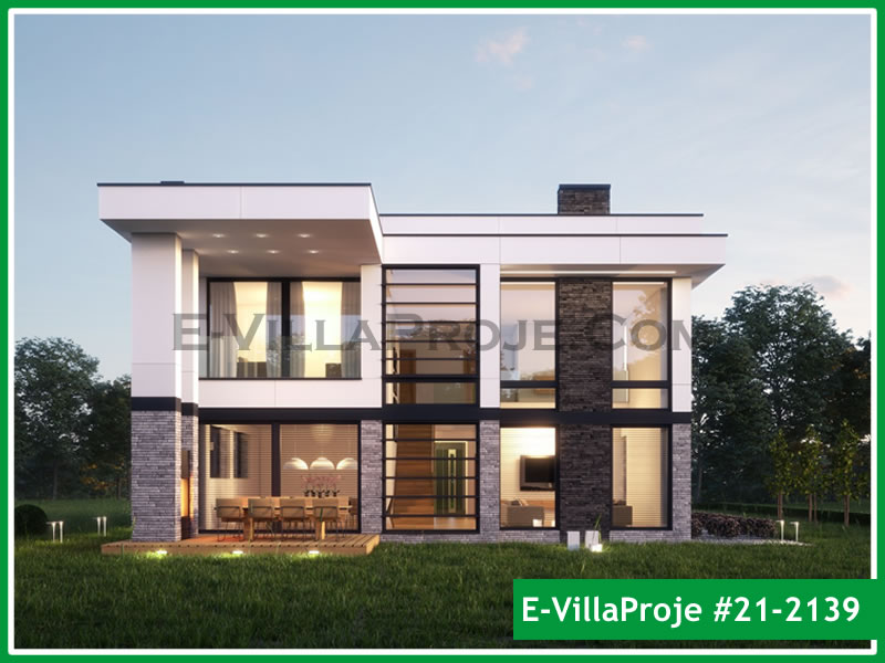 Ev Villa Proje #21 - 2139 Ana Görsel