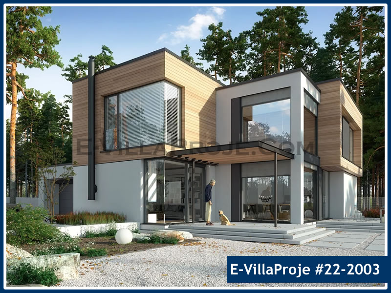 Ev Villa Proje #22 - 2003 Ana Görsel