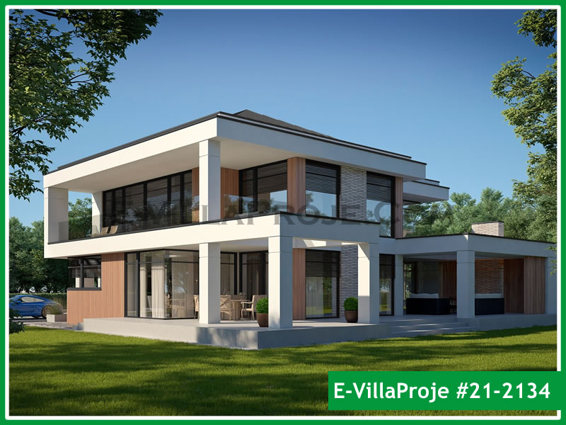 Ev Villa Proje #21 - 2134 Ana Görsel