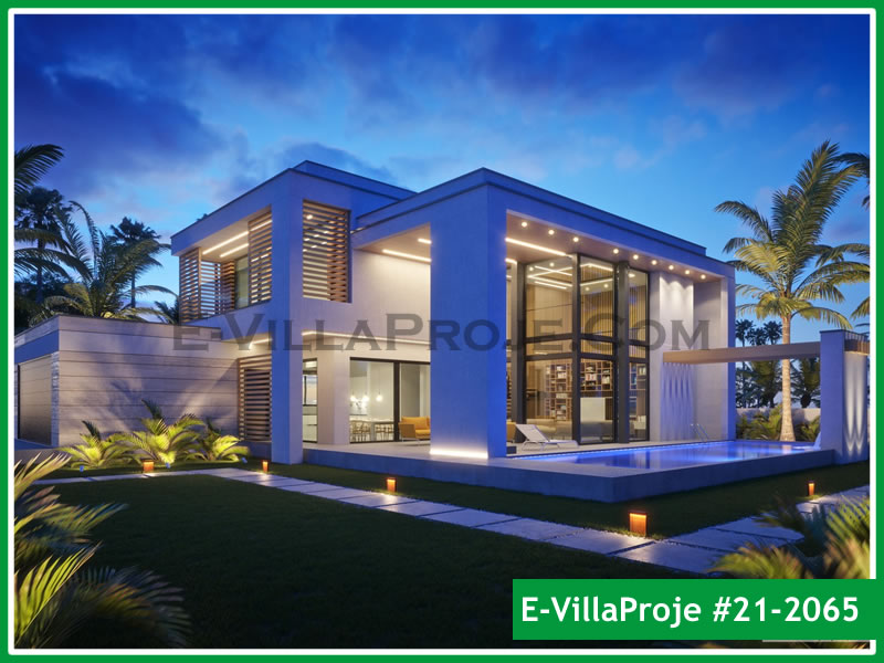 Ev Villa Proje #21 - 2065 Ana Görsel