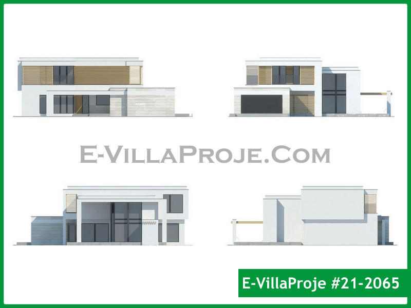 Ev Villa Proje #21 - 2065 Galeri Görseli 10