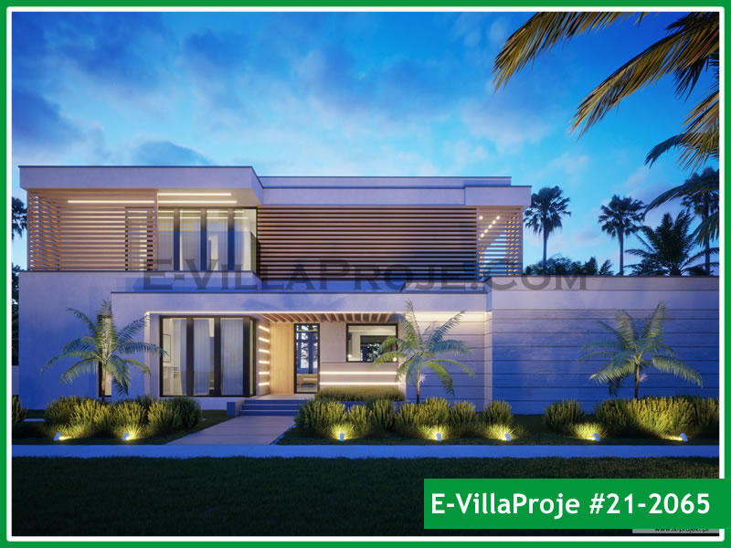 Ev Villa Proje #21 - 2065 Galeri Görseli 4