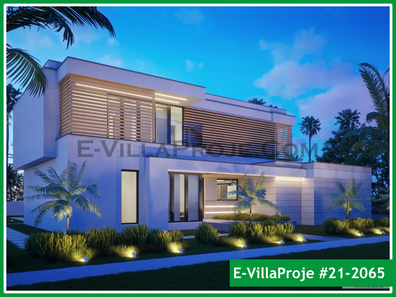 Ev Villa Proje #21 - 2065 Galeri Görseli 5