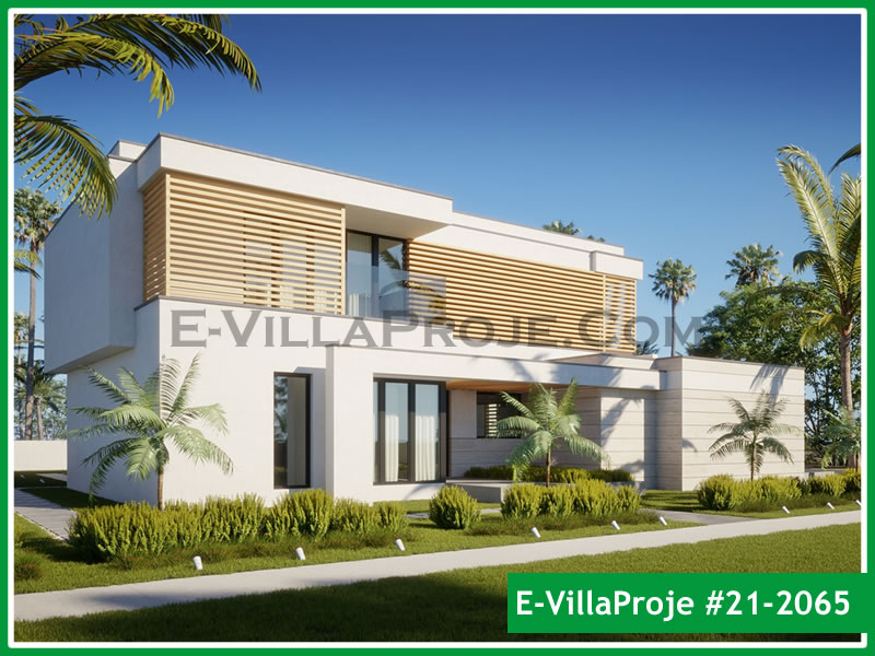 Ev Villa Proje #21 - 2065 Galeri Görseli 6
