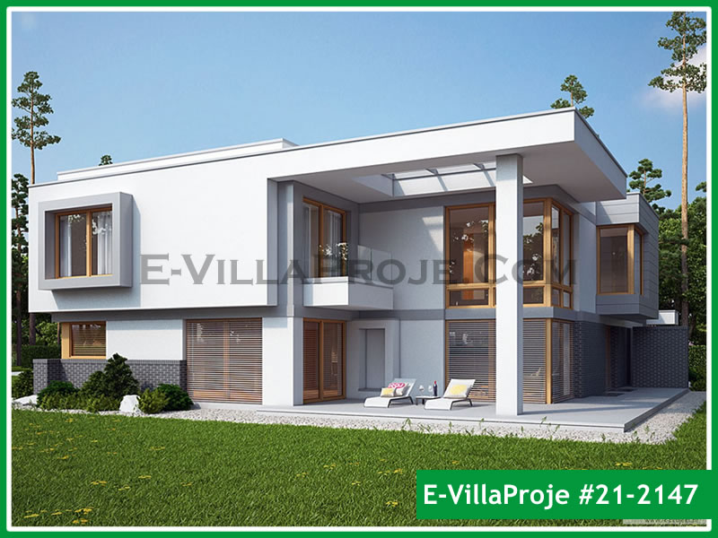Ev Villa Proje #21 - 2147 Ana Görsel