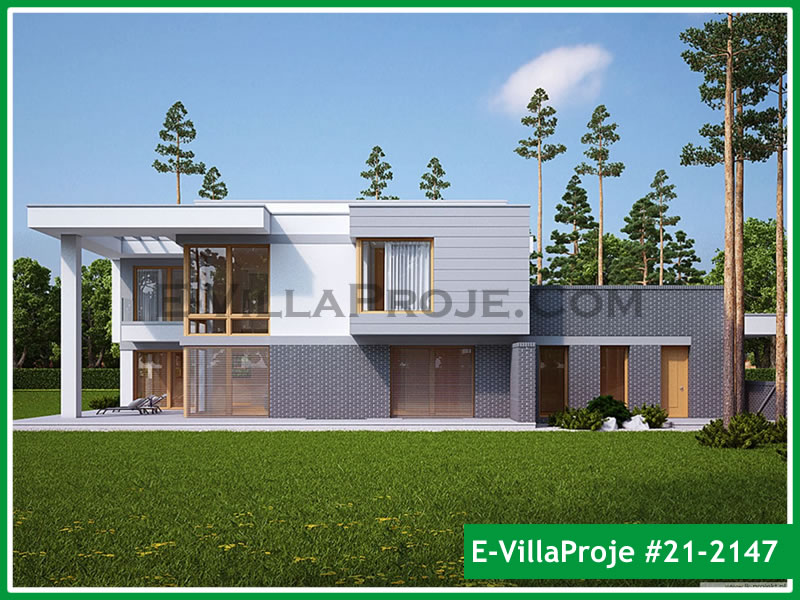 Ev Villa Proje #21 - 2147 Galeri Görseli 6