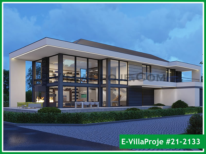 Ev Villa Proje #21 - 2133 Galeri Görseli 5
